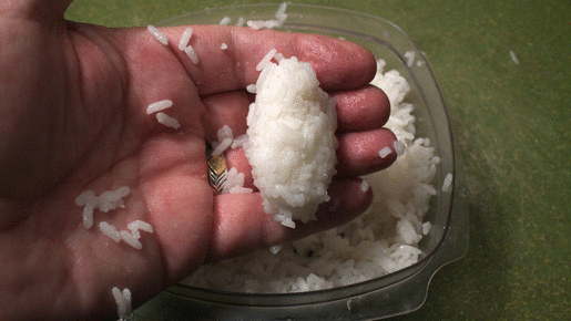 sushi+rice+ball.gif
