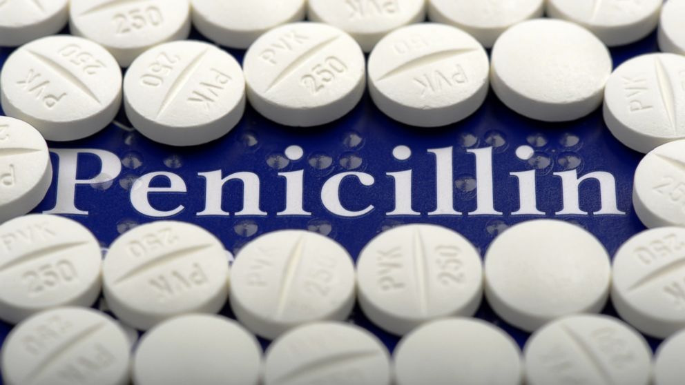 penicillin.jpg