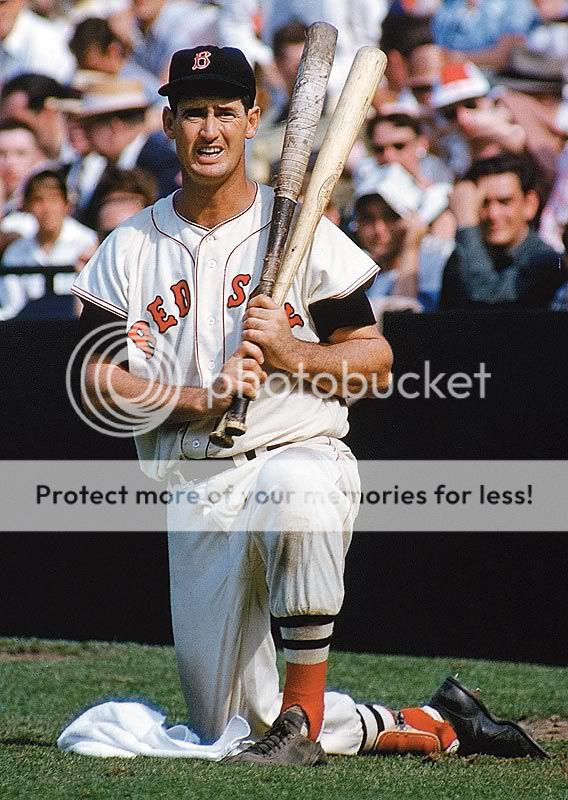 TedWilliams.jpg