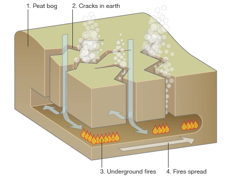 _48664603_bog_fires464x360.gif