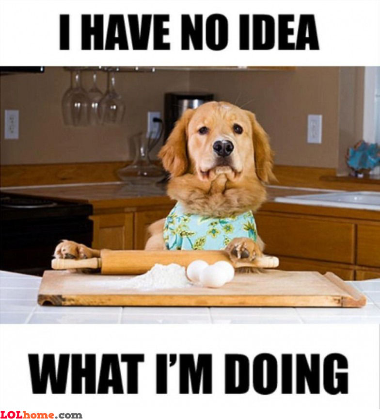 cooking-dog.jpg