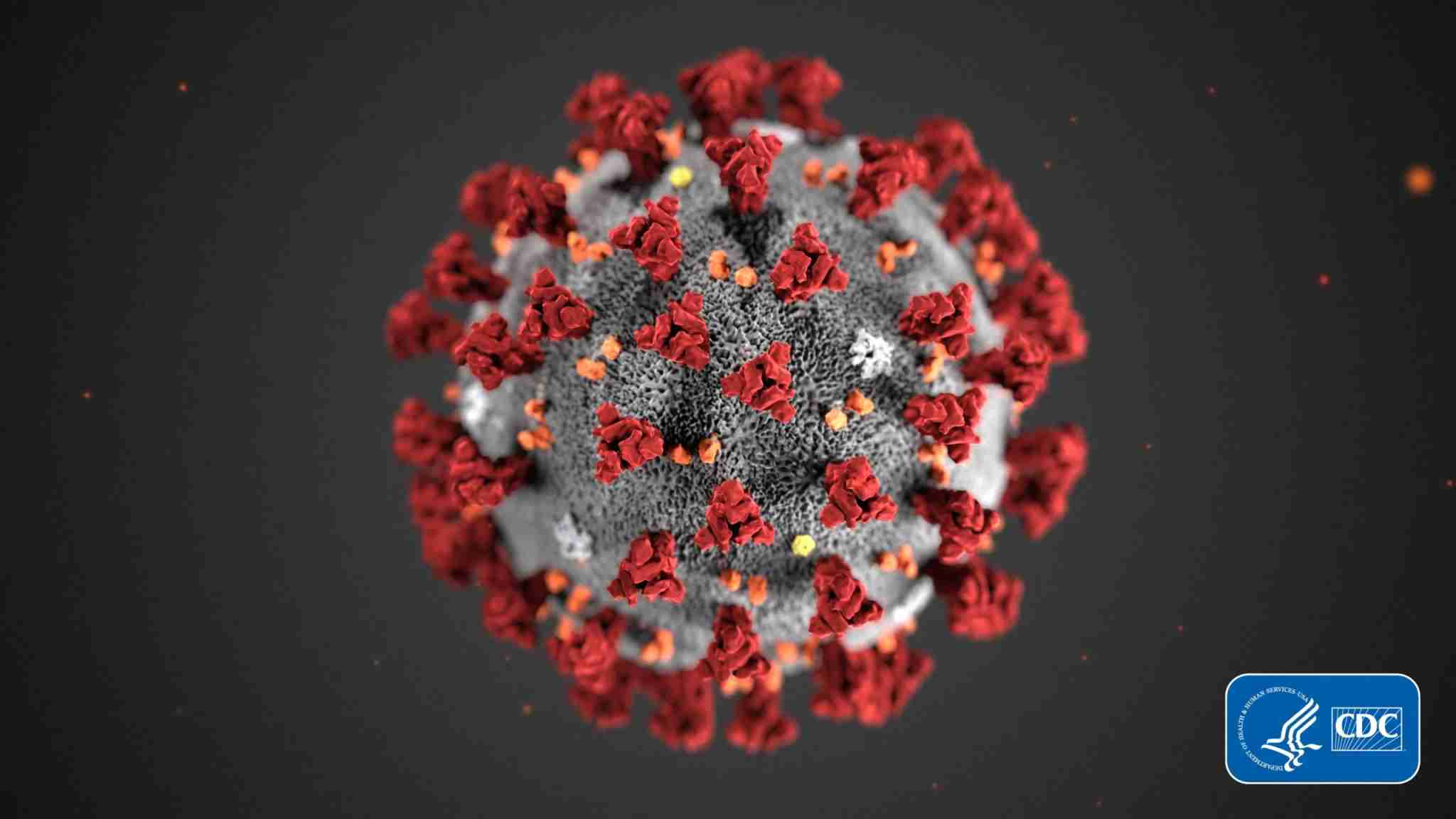 Coronavirus-2--scaled.jpg