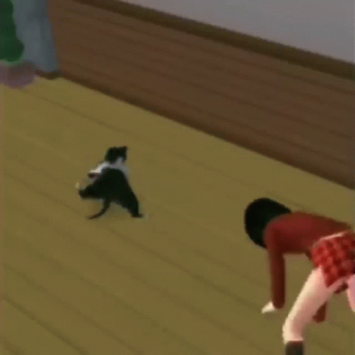 cat-breakdancing-cat-breakdance.gif