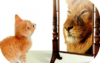 Cat-with-Lion-in-Mirror-round-1140x780-400x250.png