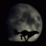 FoxxHound