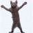 Lord_Shaka