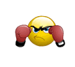 :boxing: