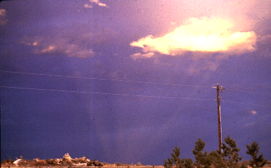 crp2.gif