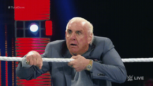 8849ed76a52fb7e076cf9c9035cff491e845774f_hq.gif