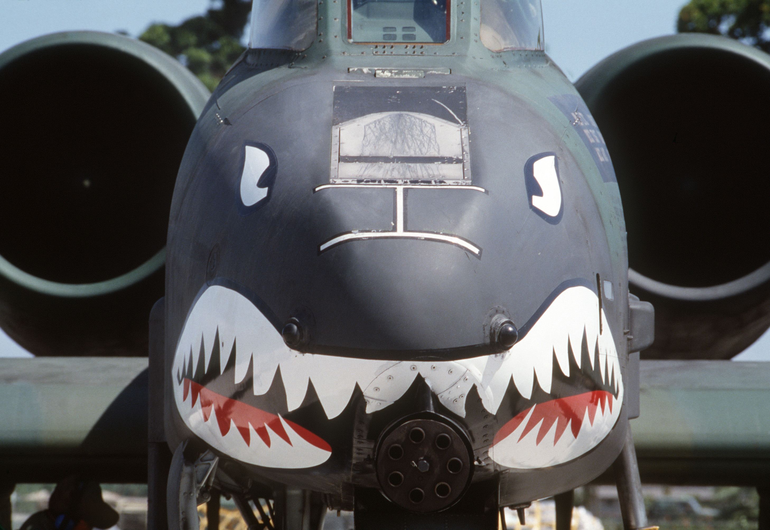 A-10_Thunderbolt_II_Shark_Face.JPEG