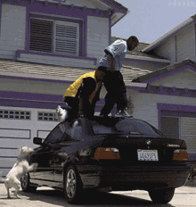 afraid-on-car.gif