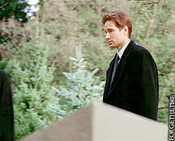 x-files-apocrypha-scully-grave.gif