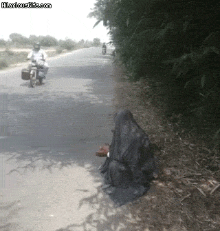 faa2d64fe262129d9000abc5d9ee5d9b.gif