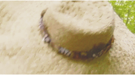 tumblr_mr1gy8Bi6F1s65rzwo10_400.gif