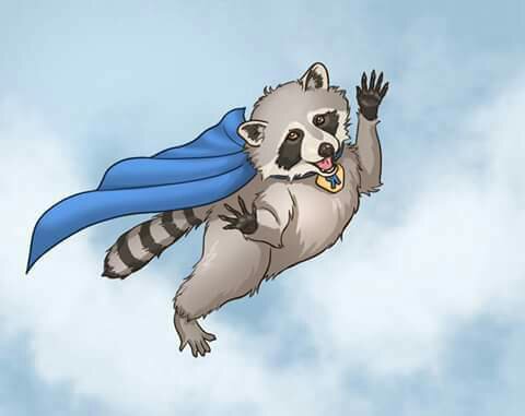 super-coon.jpg