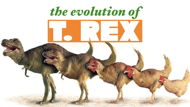 trex-chicken.009.jpeg