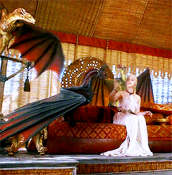 tumblr_mmq1i05LFc1qamvyco1_r2_250.gif