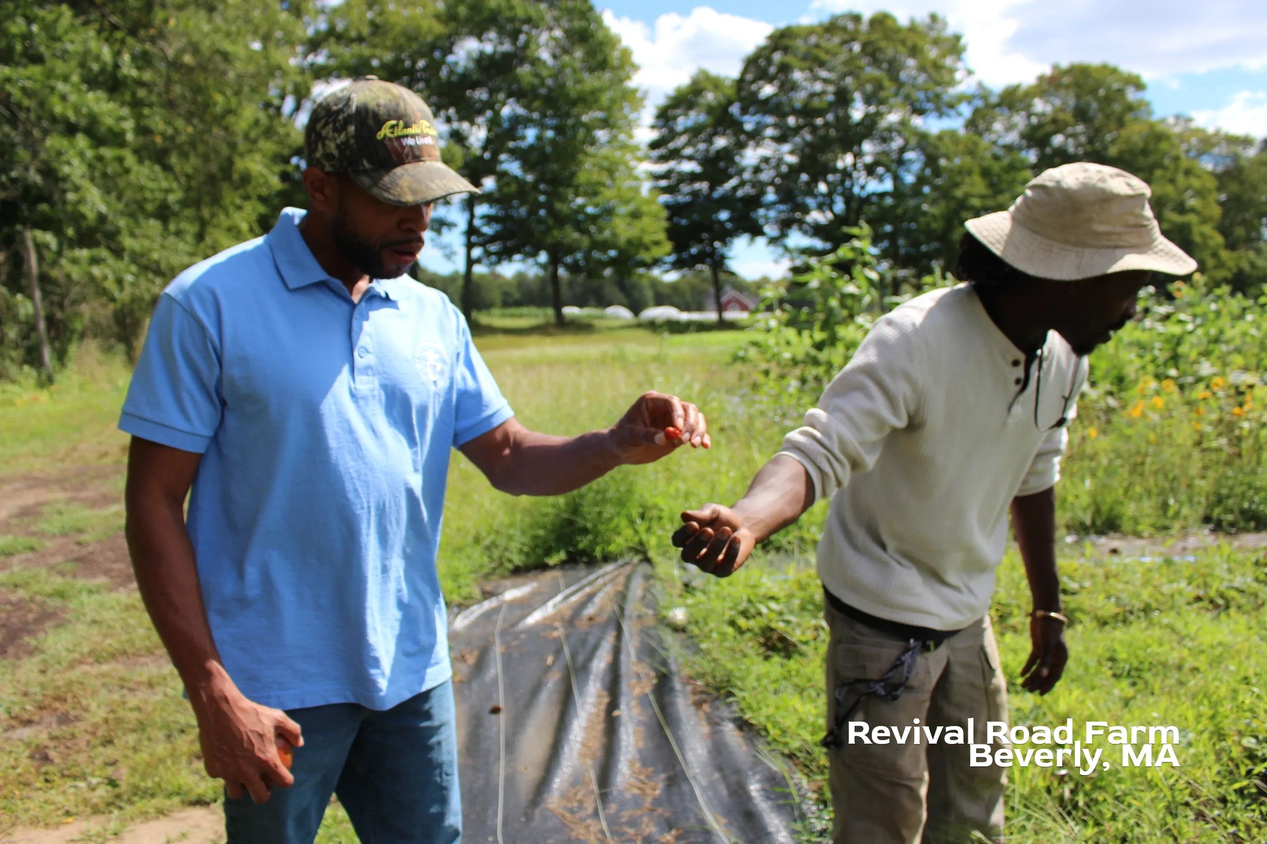 blackfarmersindex.com