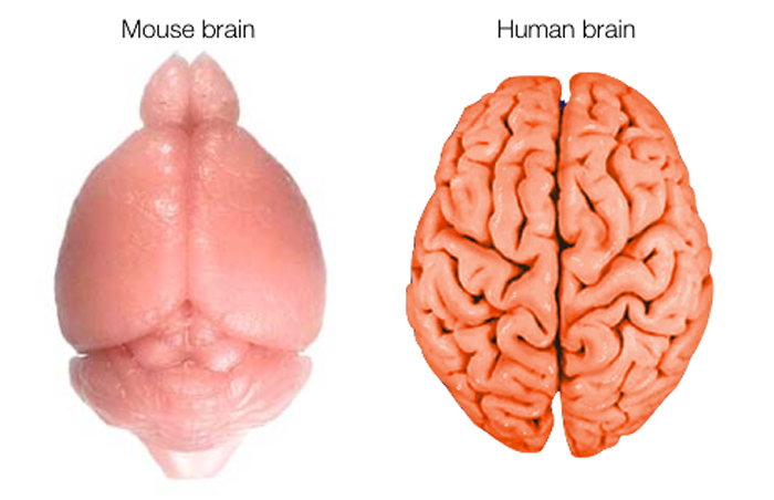 www.livescience.com