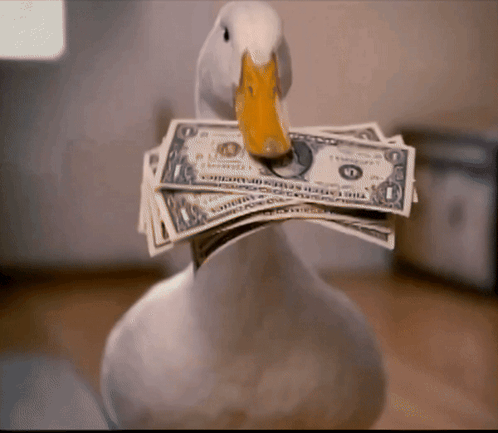 aflac-duck.gif