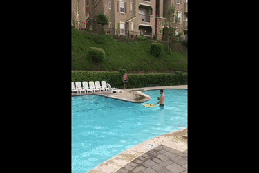 tumblr_ooiapw2tqi1tcpc1oo1_400.gif