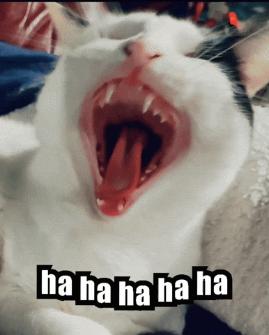 tenor.gif