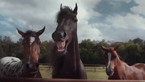 baeaf3c709c760b6ab9eda1826efce8d.gif