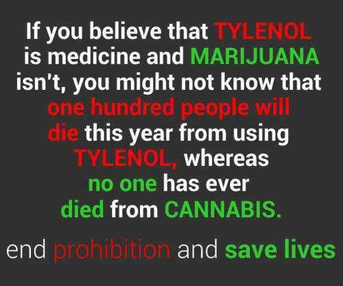 9ebd47b9d12b2e4c53cb0c541abacbb5--medical-marijuana-politics.jpg