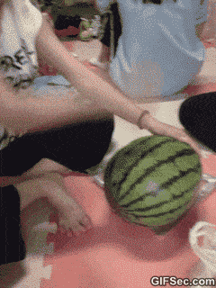3ae75cc1dc6e1f3d9f403b31f4727091.gif