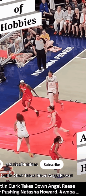 gif-20250518-082912.gif