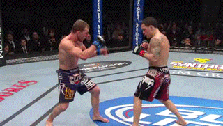 EdgarMaynard26.gif
