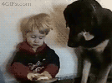 tumblr_mviho7CagY1rbtfplo1_400.gif