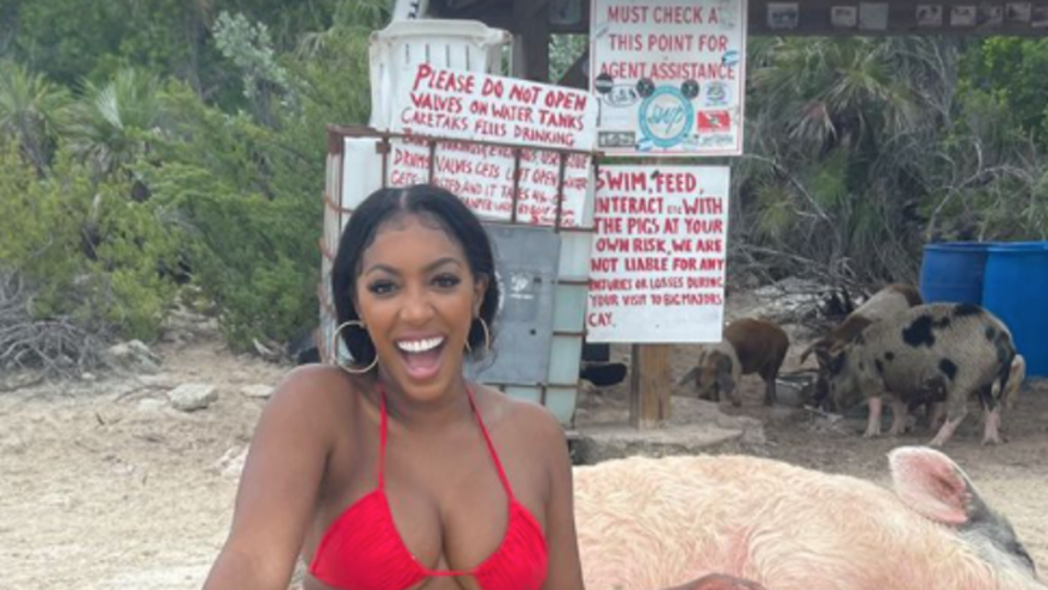www.tmz.com