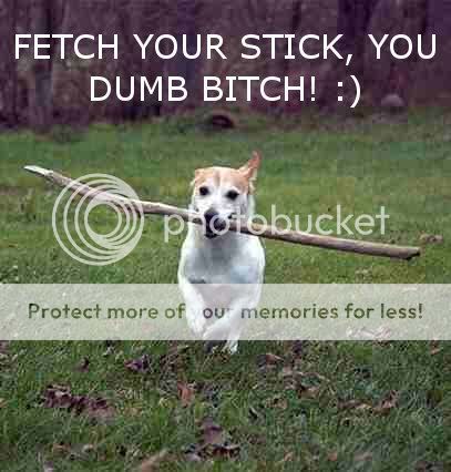 fetch2.jpg
