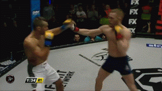 4.gif