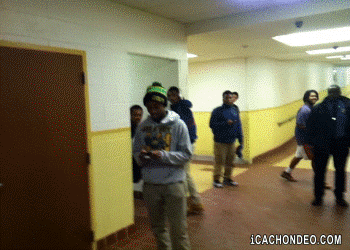 tumblr_ml443xMrd61s917bwo1_400.gif