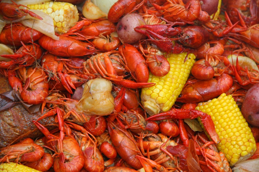 6490-crawfish-e1269412659513.jpg