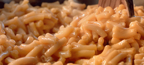 tumblr_p03dkzsNkS1r8u8uko1_500.gif