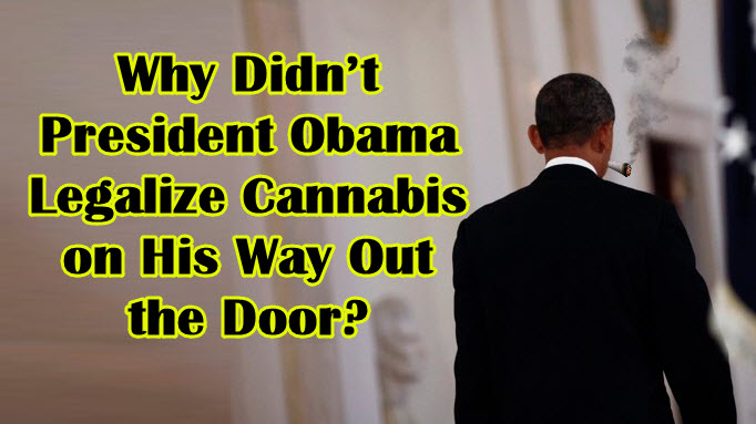 3743_RSHT_whydidntobamaleaglizeweed.jpg