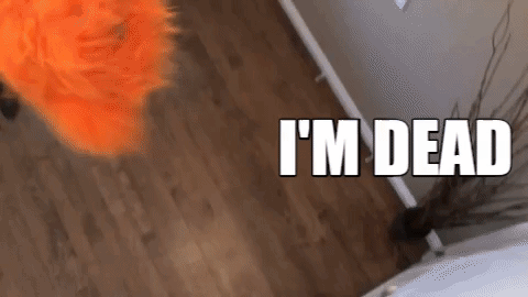 e9805049f5c326ff3433324cdedb2254.gif