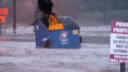 30401379.gif