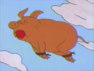 tumblr_mxk978LRsP1sqjfsno1_400.gif