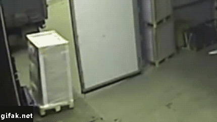 tumblr_ng7u1yfN0C1s2yegdo1_500.gif