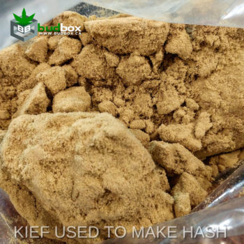 kief1-350x350.jpg