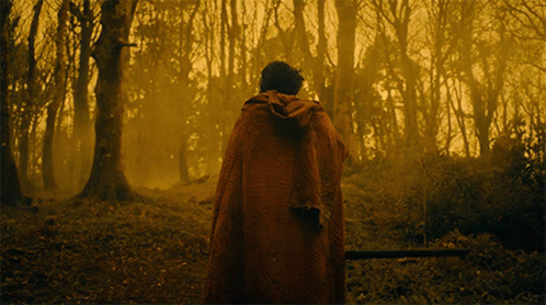 slashing-gawain.gif