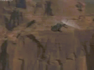tumblr_n0zitbDnvT1ste1yzo1_400.gif