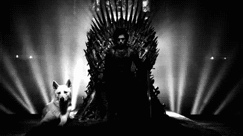 tumblr_o1knvoaOZd1v5ycgco1_500.gif