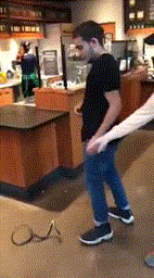 tumblr_p01qz1OknC1wiylv6o2_250.gif