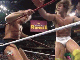 1265308261_fake-wrestling.gif