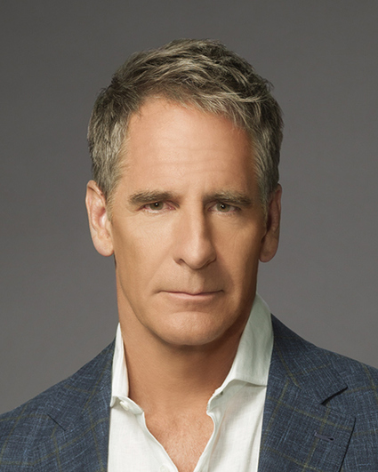 ncisno_cast_scottbakula.jpg